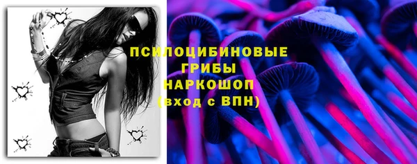 стафф Верхний Тагил