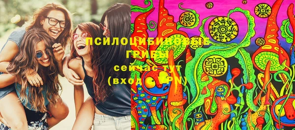 стафф Верхний Тагил