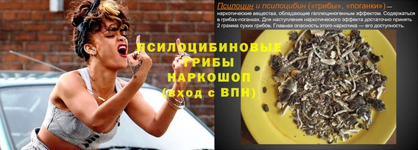 стафф Верхний Тагил