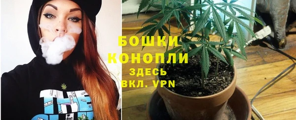 стафф Верхний Тагил